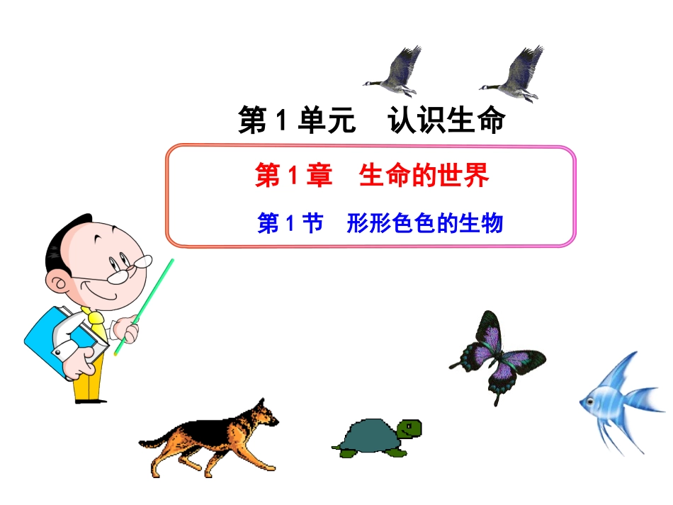第1单元++认识生命第1章++生命的世界+第1节++形形色色的生物（共30张PPT）_第1页