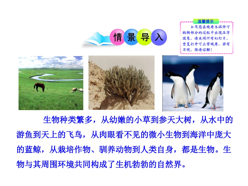 第1单元++认识生命第1章++生命的世界+第1节++形形色色的生物（共30张PPT）_第2页