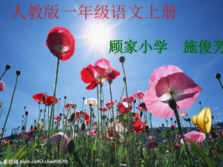 一年级上册《阳光》课件