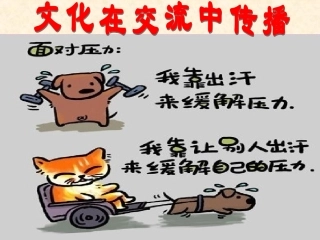 文化在交流中传播杨