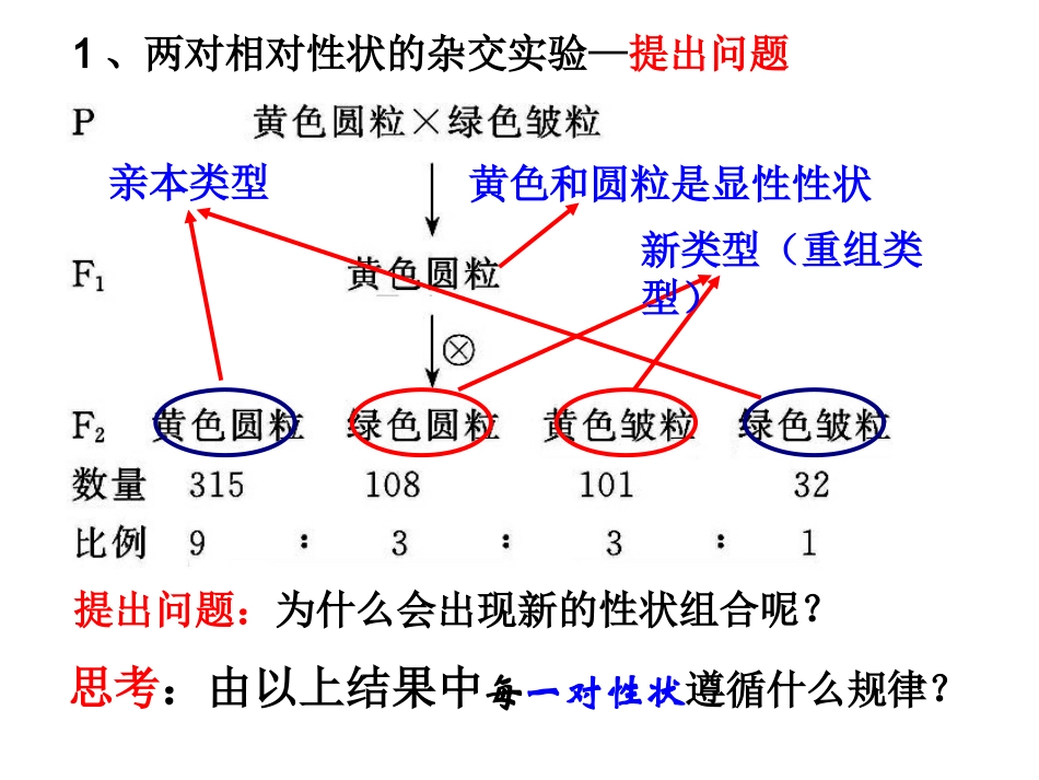 基因的自由组合定律_第3页
