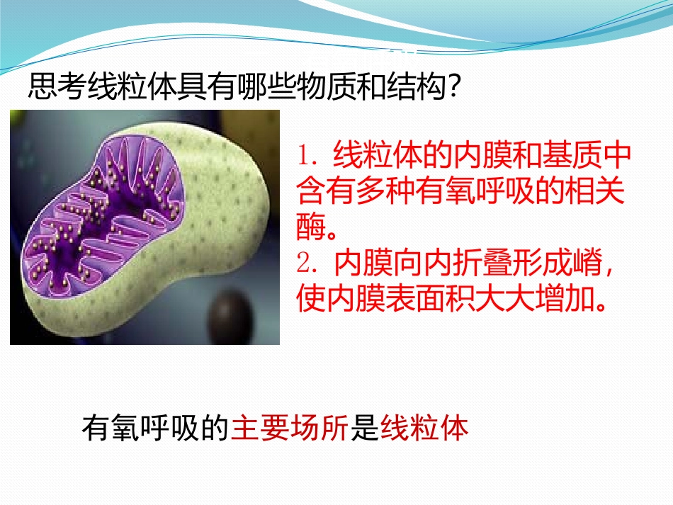 细胞呼吸（第9讲）(1)_第2页