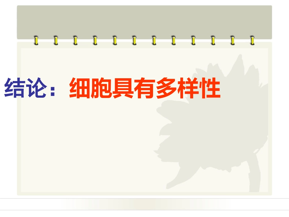 细胞的多样性和统一性课件人教版必修_第3页