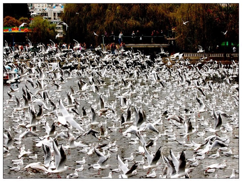 老人与海（黄娟2）_第3页