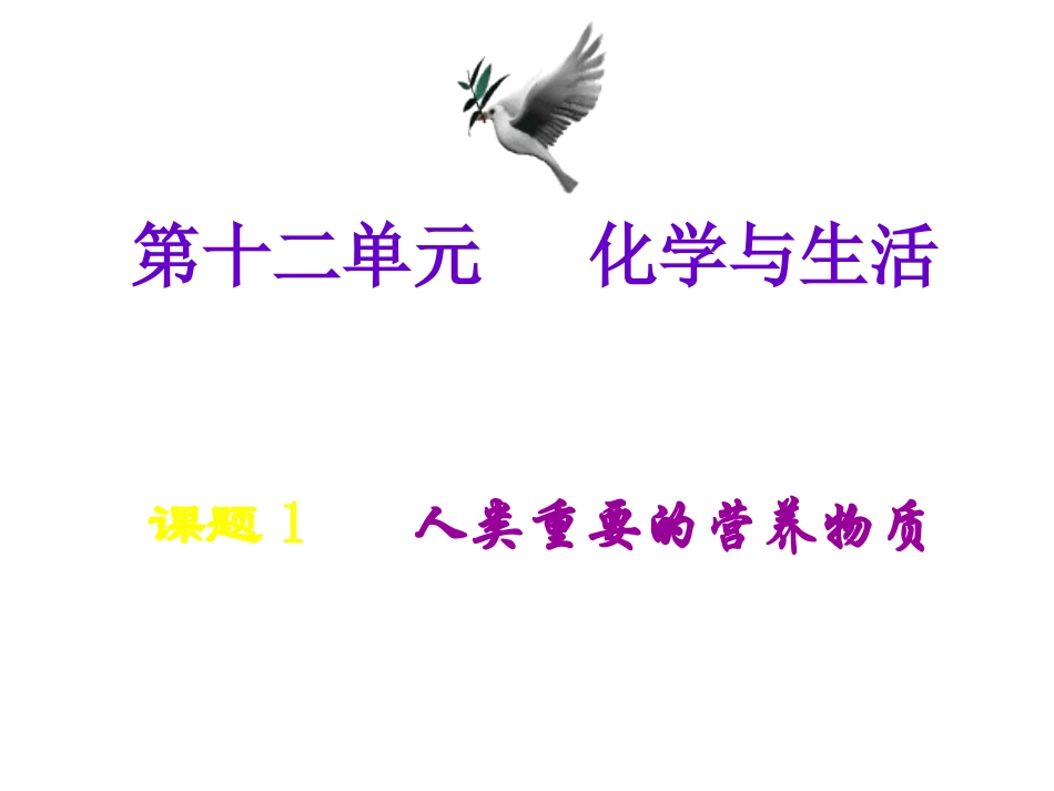 人类重要的营养物质课件张_第1页