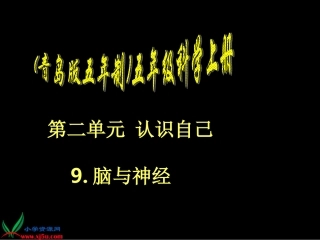 青岛版五年制科学五年级上册《脑与神经》PPT课件之一1000