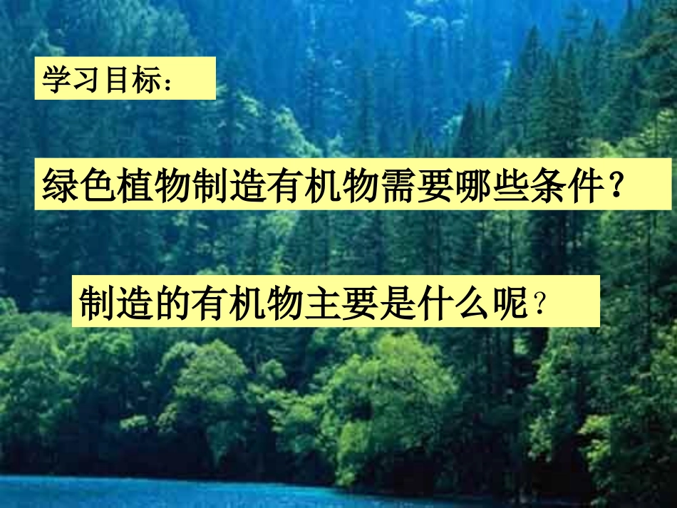 光合作用(刘玉花)_第2页