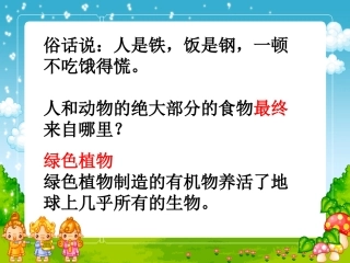 光合作用(刘玉花)