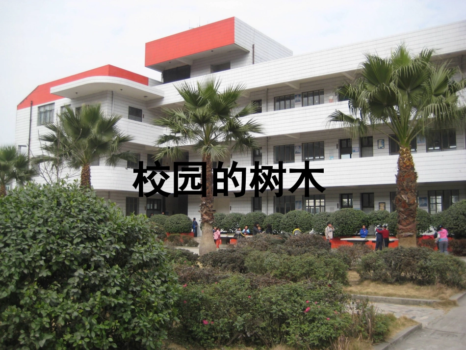 三上1-2：校园的树木 (2)_第1页