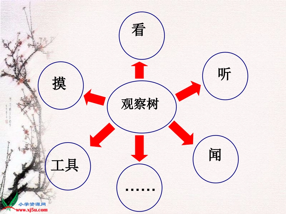 三上1-2：校园的树木 (2)_第2页