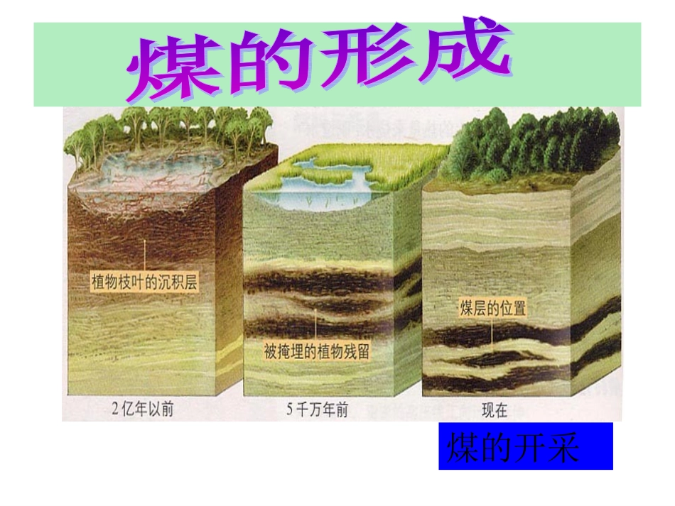 燃料的合理利用与开发_第3页
