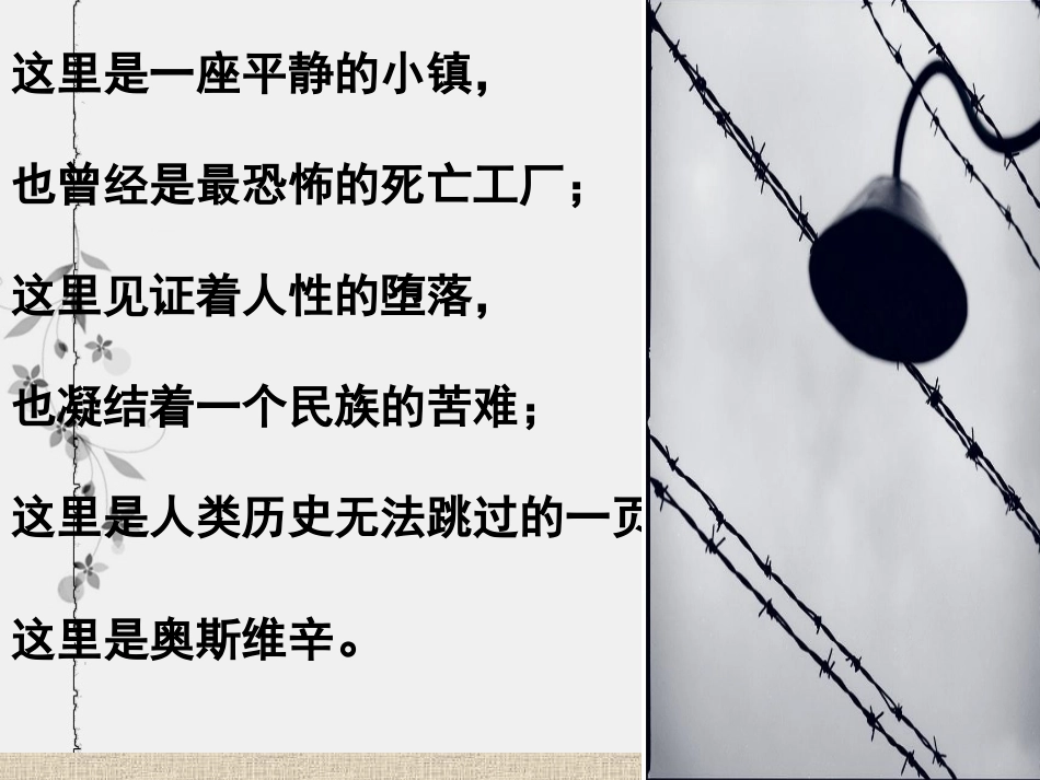 奥斯维辛没有什么新闻 (2)_第2页