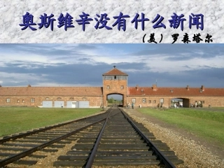 奥斯维辛没有什么新闻 (2)