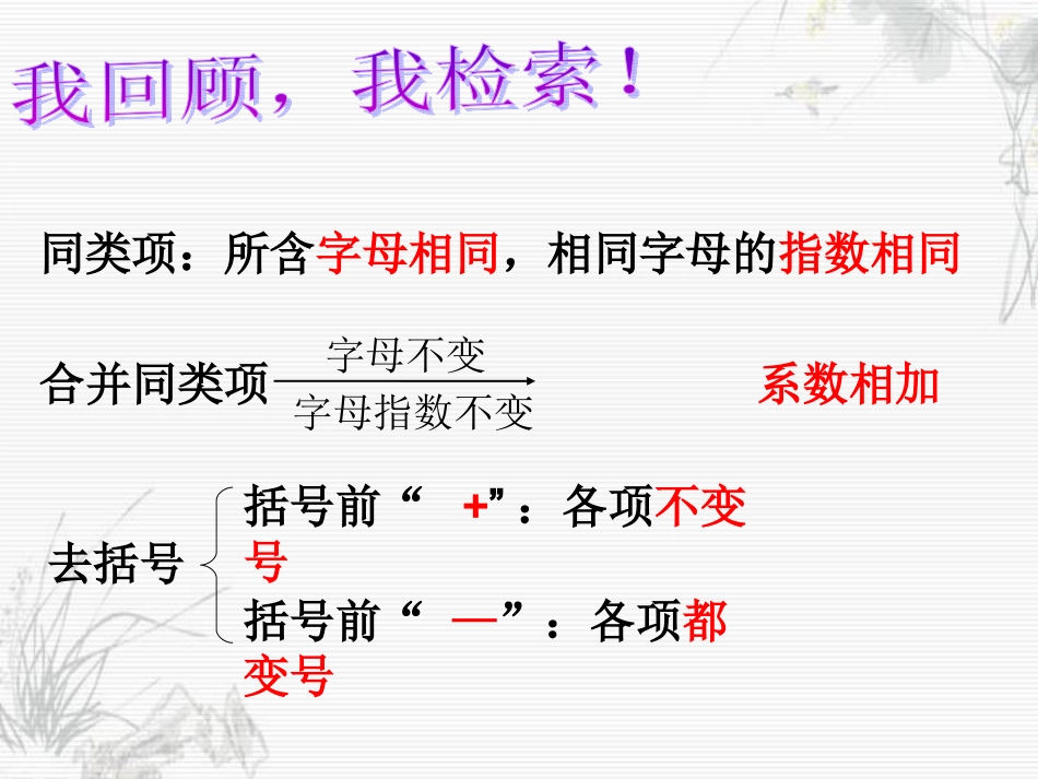 整式的加减习题课李飞杰_第2页