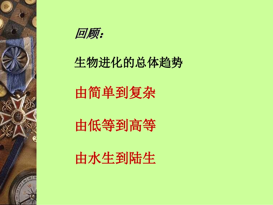 生物进化的原因_第1页