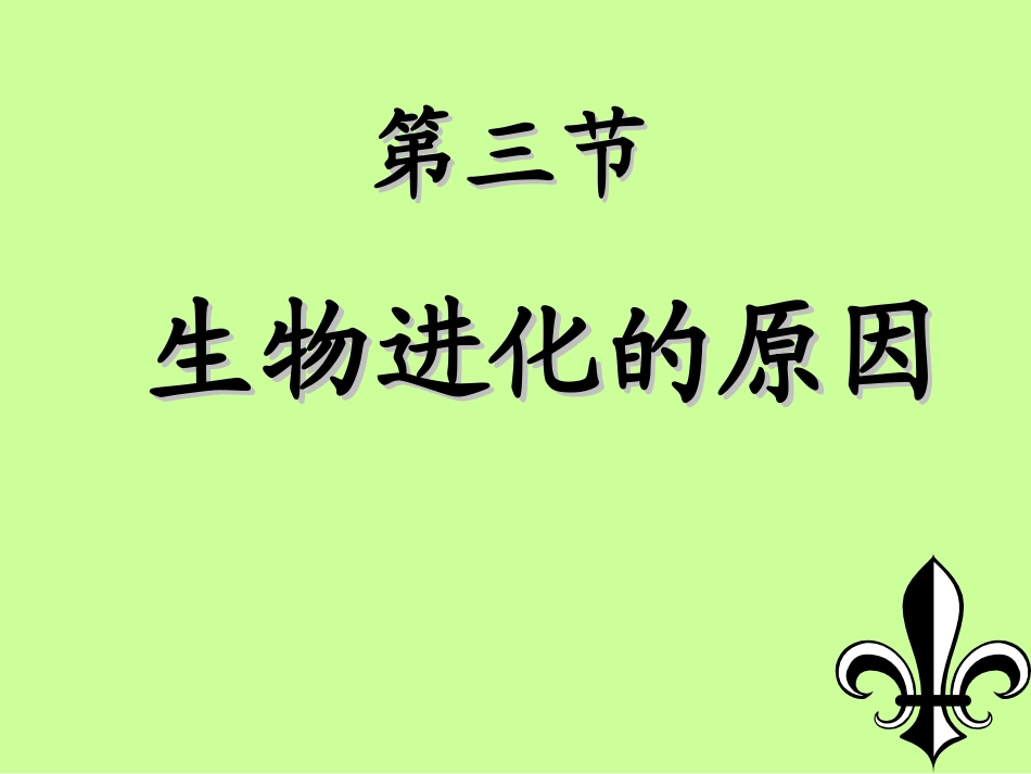 生物进化的原因_第2页