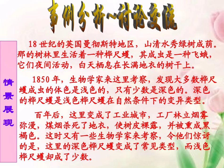 生物进化的原因_第3页