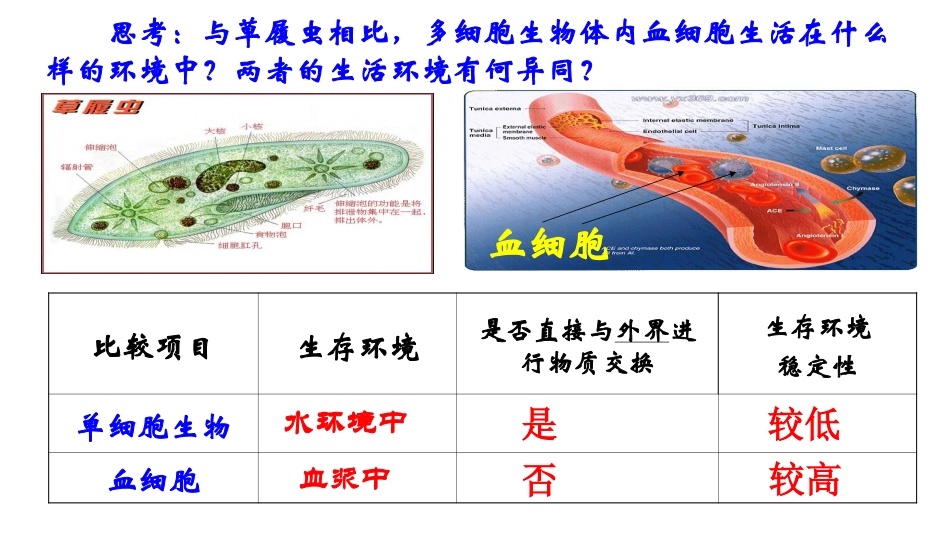 人教版必修三第一张第一节+细胞生活的环境（共28张PPT）_第2页