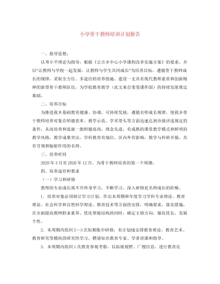 小学骨干教师培训计划报告