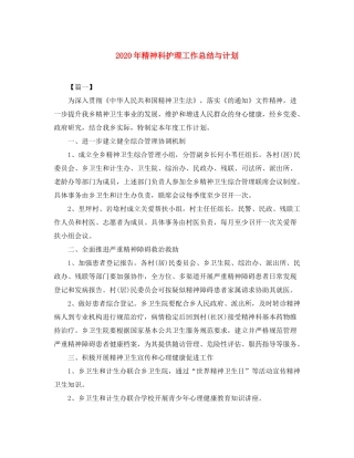 2020年精神科护理工作总结与计划