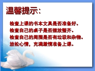 天鹅的故事尹婷