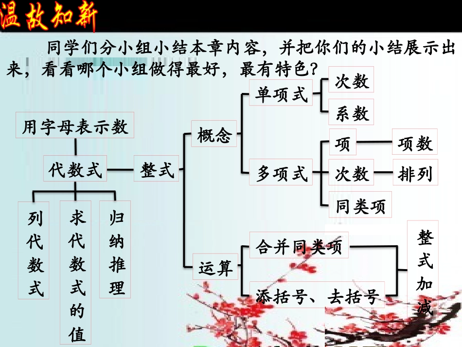 整式加减复习[1]_第2页