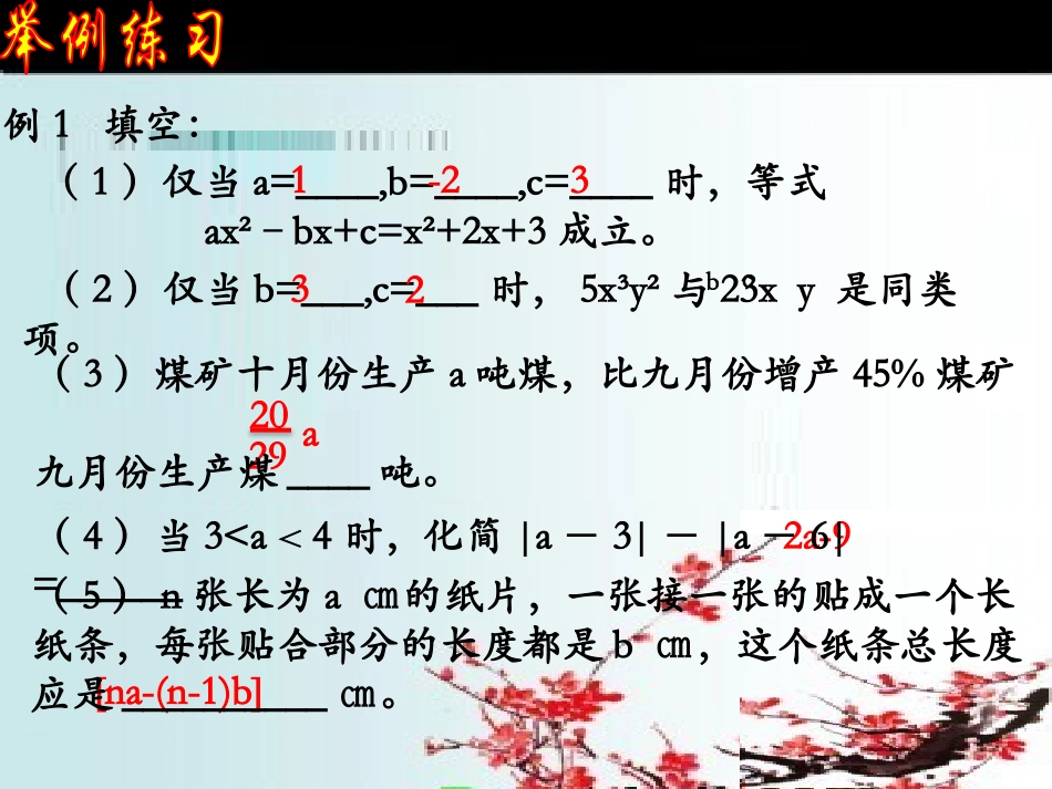 整式加减复习[1]_第3页