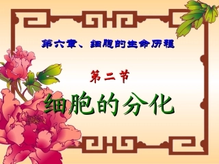 细胞分化课件