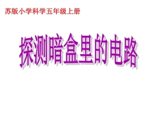 探测暗盒里的电路课件1