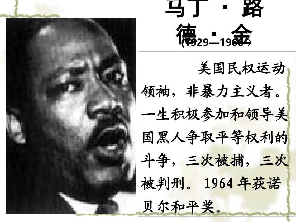 我有一个梦想 (4)_第2页