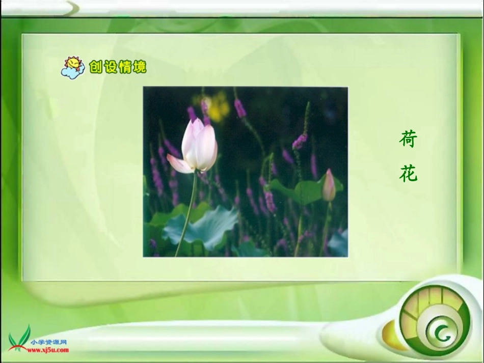 荷花课件(人教版语文三年级下册)_第2页