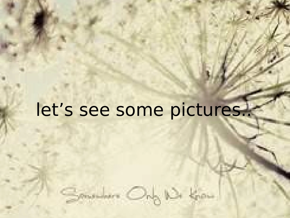 人教版体育与健康《青春期心理健康》课件_第3页