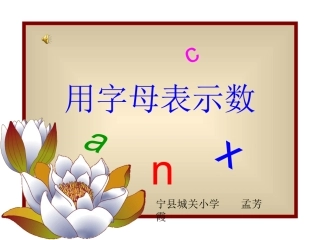 用字母表示数 (9)