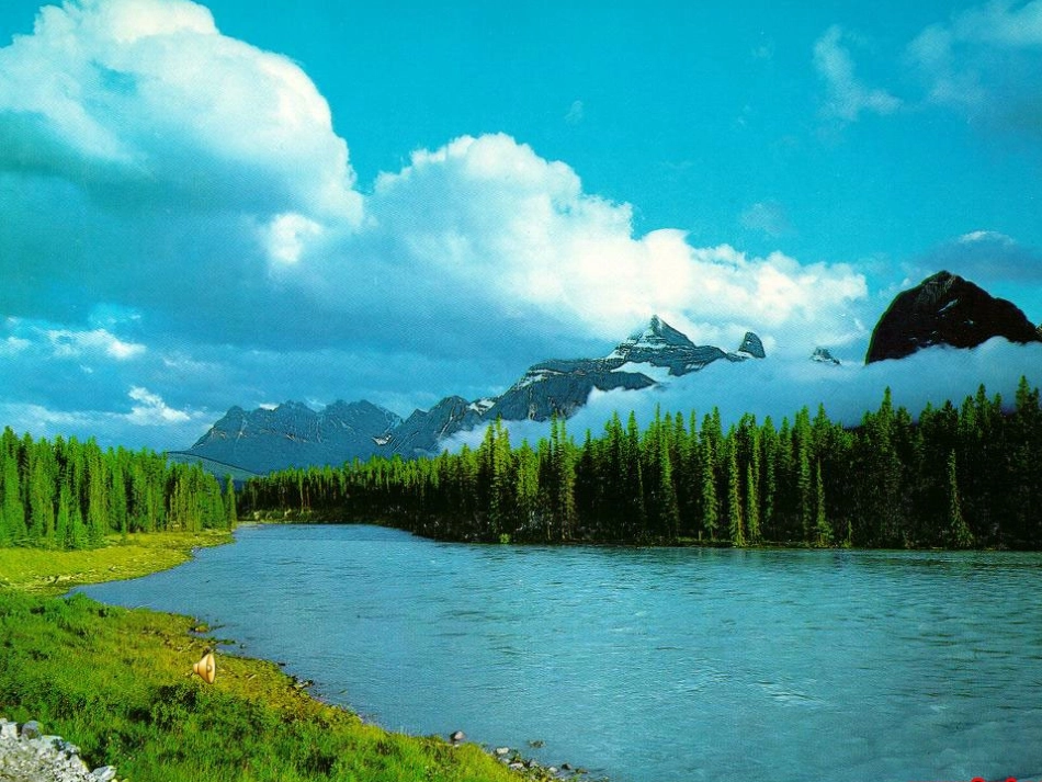 因数和倍数教学课件 (2)_第1页