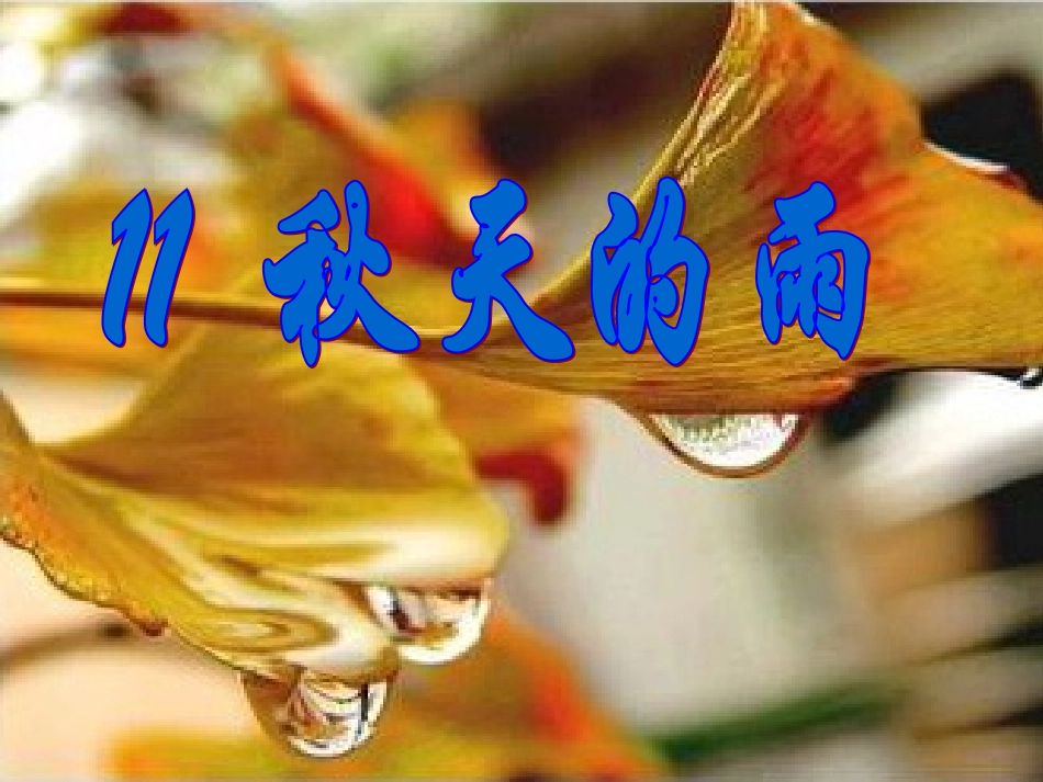 秋天的雨课件PPT_第1页