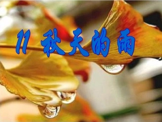 秋天的雨课件PPT