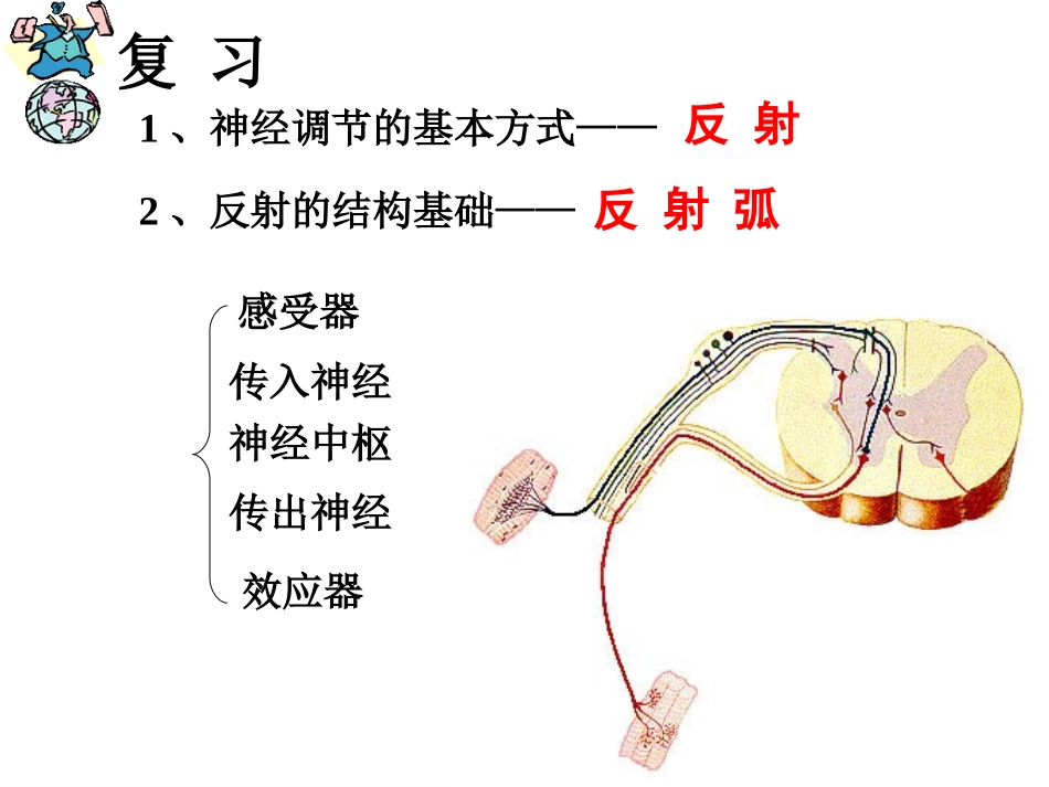 人体的激素调节_第1页