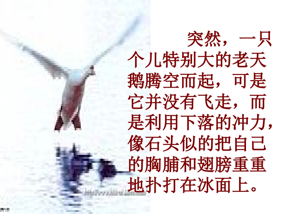 天鹅的故事 (2)_第2页