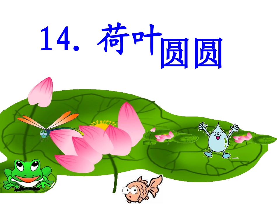荷叶圆圆课件 (4)_第2页