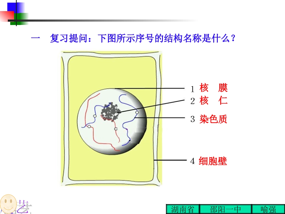 第二节细胞的增殖_第2页