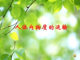 人体内物质运输——课件