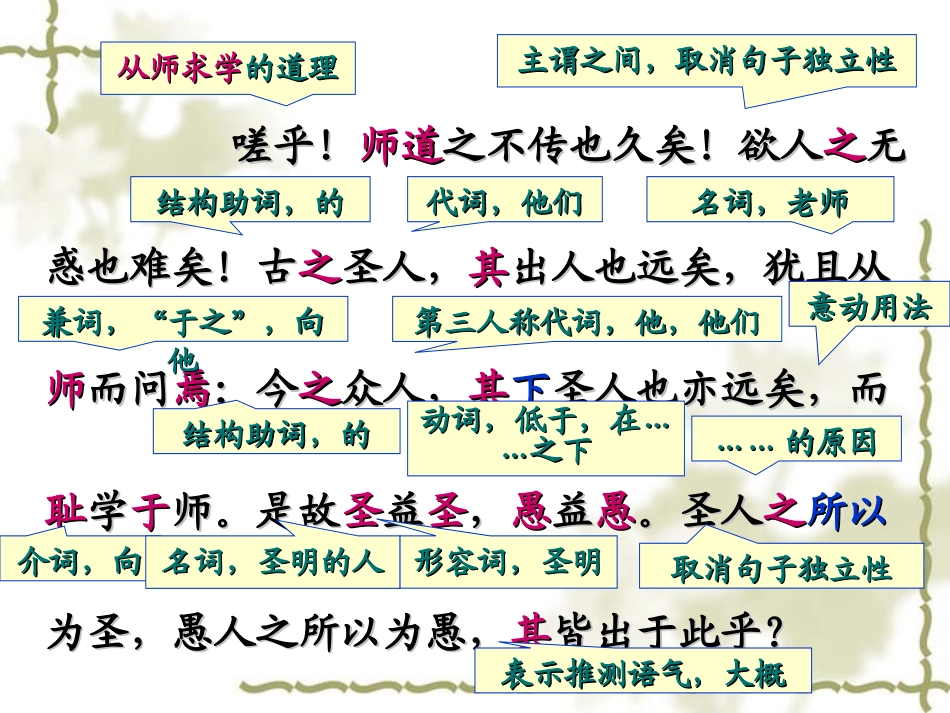 《师说》高三精品复习课件_第3页