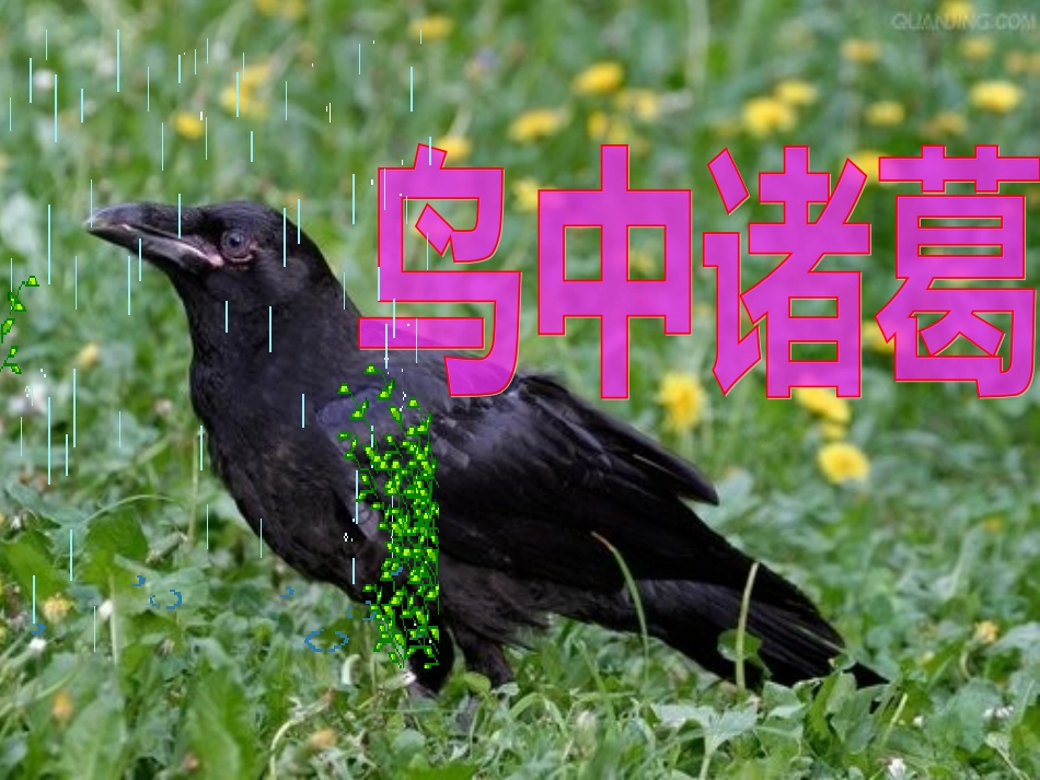 事物说明文阅读指导_第2页