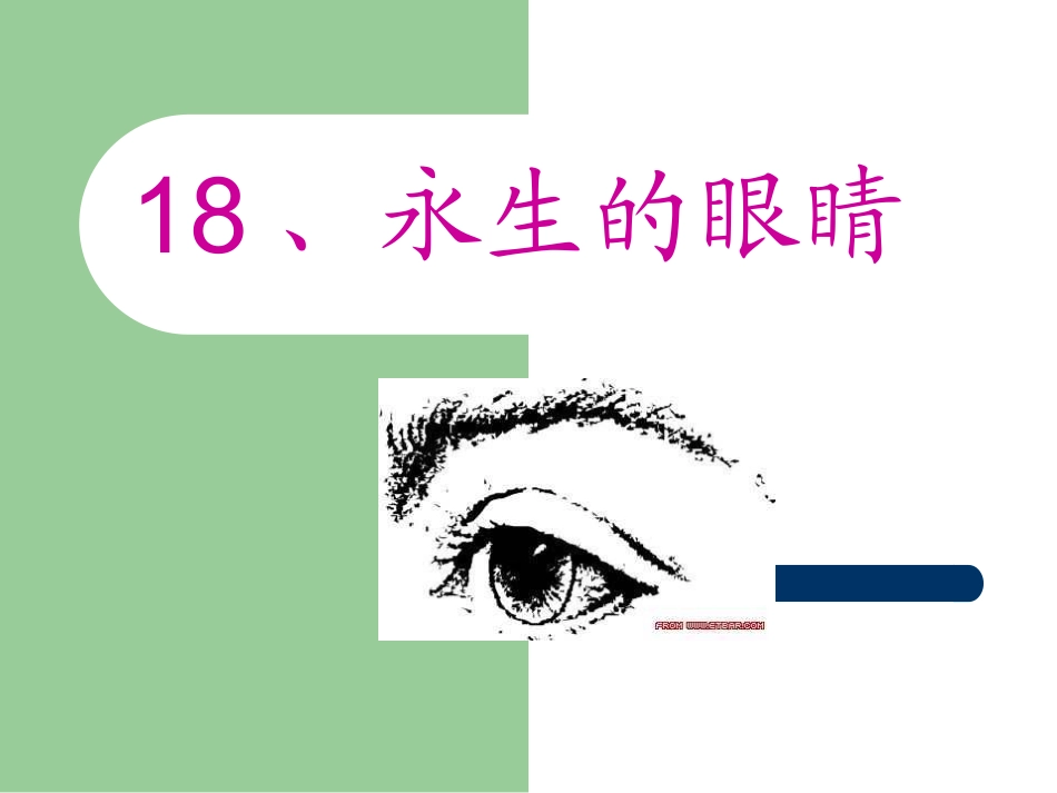 四年级下永生的眼睛_第1页