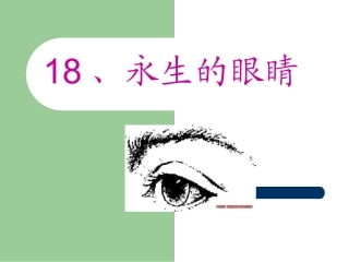 四年级下永生的眼睛