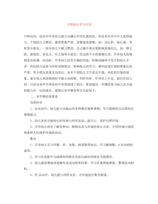大班幼儿学习计划
