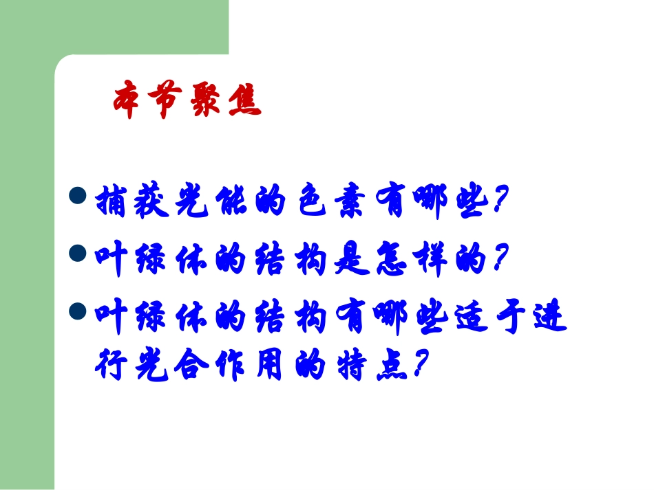 能量之源—光与光合作用_第2页