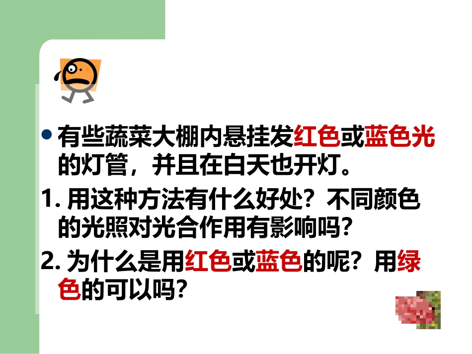 能量之源—光与光合作用_第3页