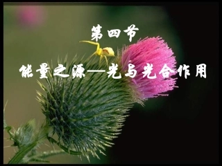 能量之源—光与光合作用