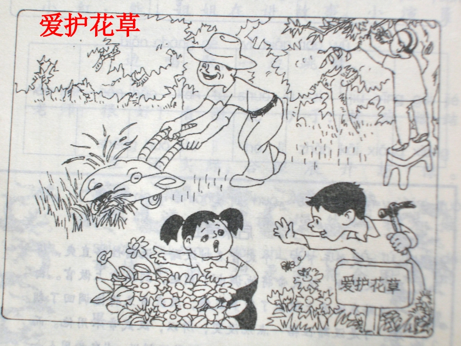 小学二年级看图写话集_第1页